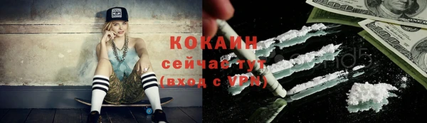дживик Алзамай