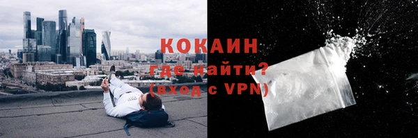 дживик Алзамай