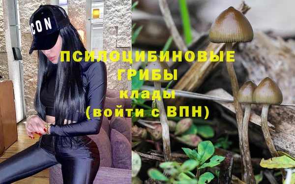 дживик Алзамай