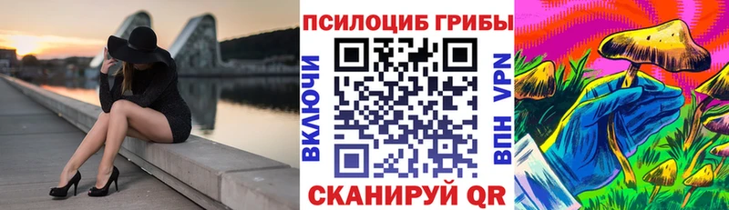 где продают   Алексин  Псилоцибиновые грибы прущие грибы 
